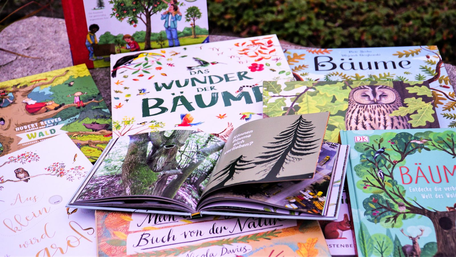 Medienkoffer nach Themen-Modulen – Weltretter